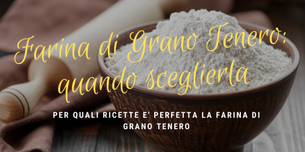 Per cosa usare la farina di grano tenero?