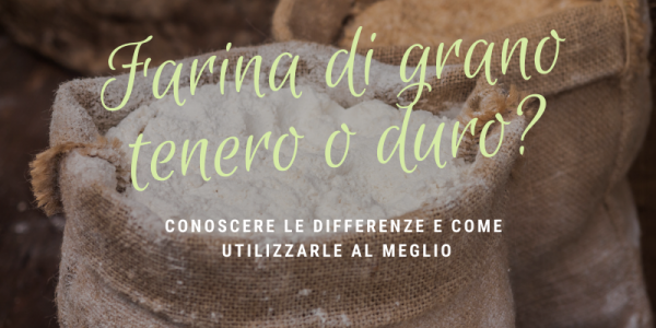 Farina di grano duro e farina di grano tenero, quando usarle